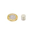 10mm dia x 10mm thick N42 Neodymium Magnet - 3.9kg Pull