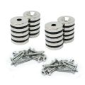 20mm dia x 4mm thick North & South Neodymium Countersunk Magnets & Screws Pack
